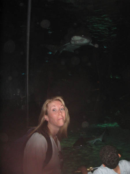 IMG_5688_edited